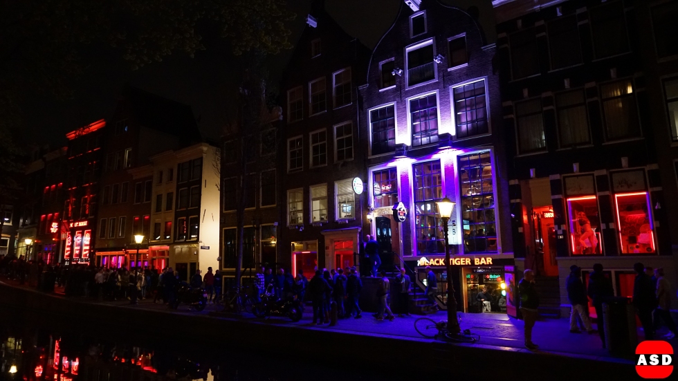 RLD-2017 Amsterdam